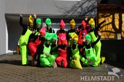 2017Faschingsumzug 1