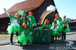 2017Faschingsumzug 14