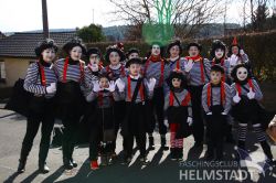 2017Faschingsumzug 20