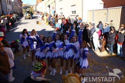 2017Faschingsumzug 94