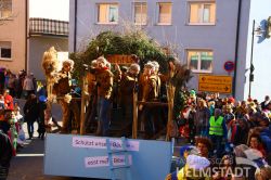 2017Faschingsumzug 97